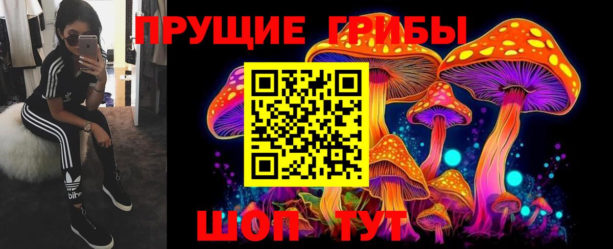 Псилоцибиновые грибы мицелий  Галлюциногенные грибы Psilocybe  Вход с VPN  Строитель 